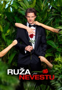 Ruža pre nevestu 2 – 9. díl – zdarma online k přehrání