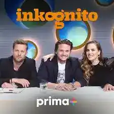 Inkognito 5 – 8. díl – Blanka Říhová – zdarma online k přehrání